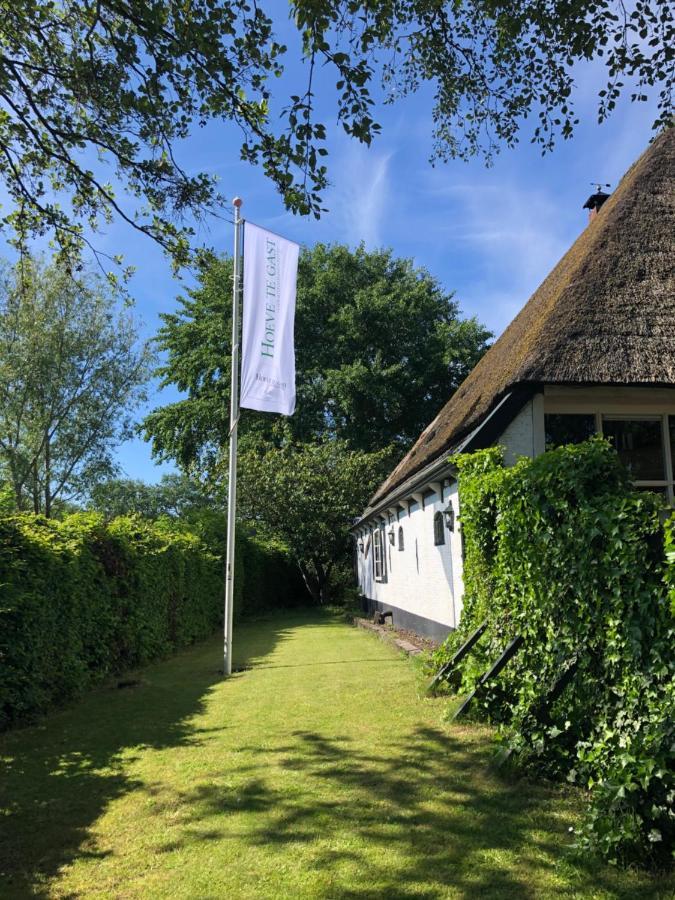 Hoeve Te Gast - Vakantieboerderij Groet Exteriör bild