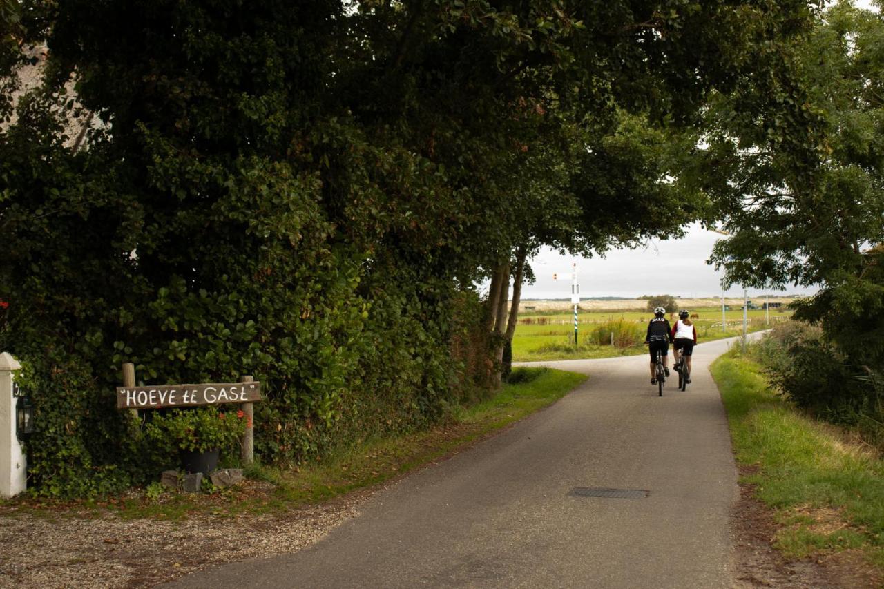 Hoeve Te Gast - Vakantieboerderij Groet Exteriör bild